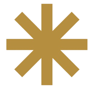 Trilingual Media Strategist